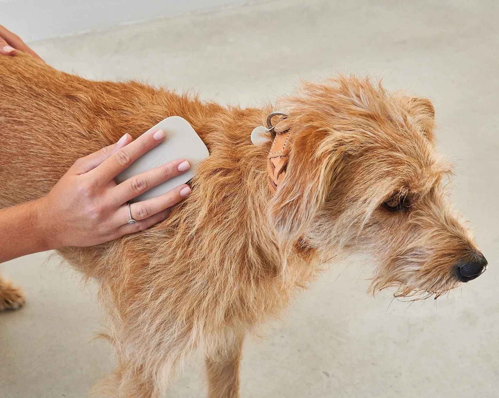 Pelo Dog Brush